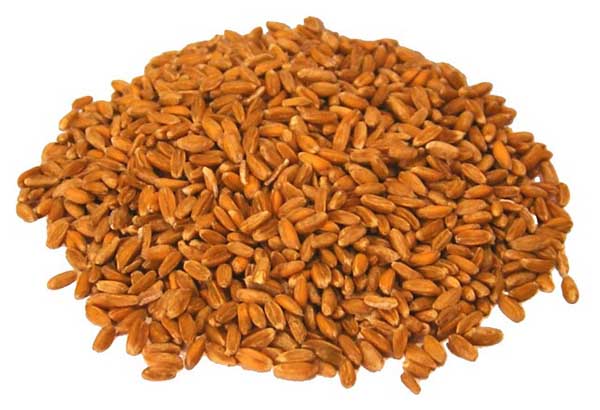 whole-grains